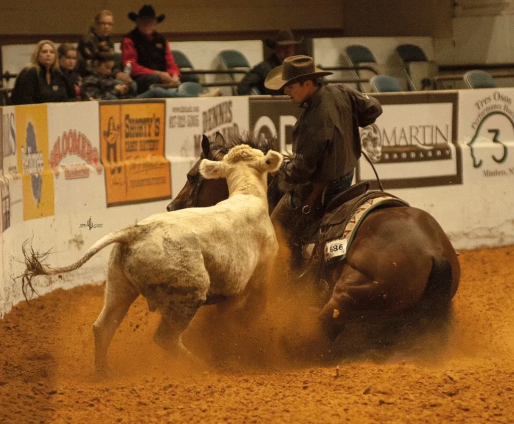 A rider in a dark shirt and cowboy hat on a sorrel horse works a pale cow in a dirt arena, kicking up dust as spectators watch behind a sponsor-banner wall.
