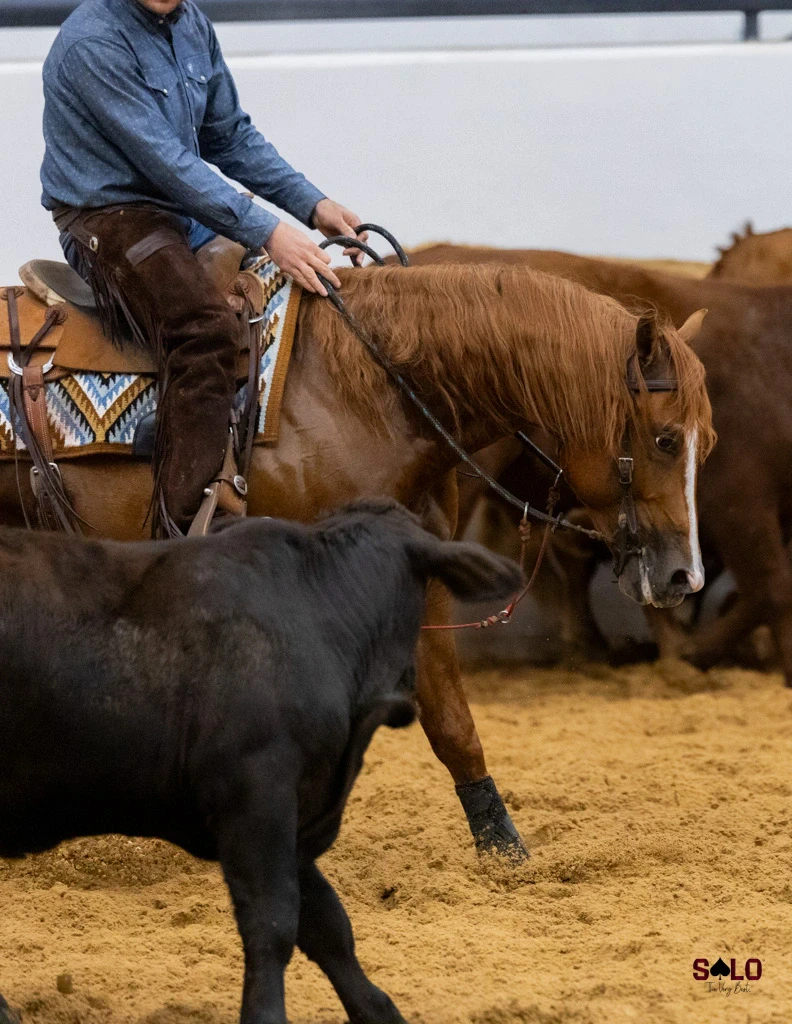 Tuff Man at the 2025 WB Snaffle Bit Futurity Sale