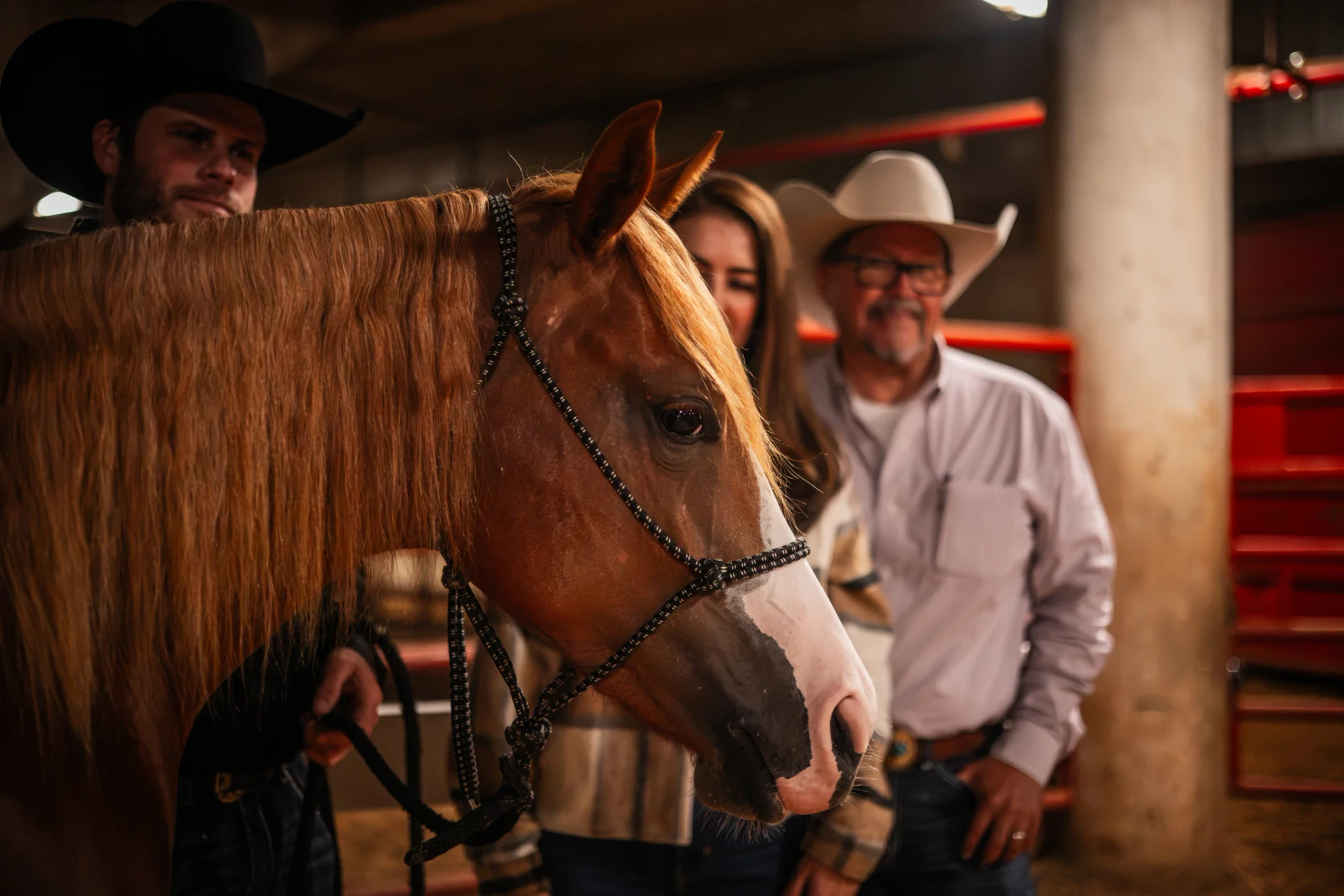 Cuff It sold for $100,000 at the Western Bloodstock 2-Year-Old Snaffle Bit Futurity Sale after graduating from the Solo Select Yearling Sale.