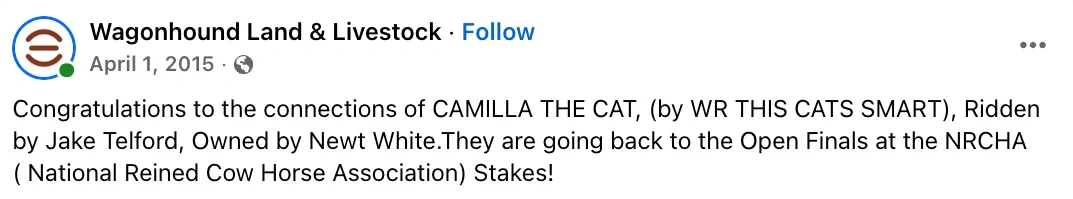 A social media post with text congratulating a horse and its connections, showing a profile logo and caption but no visible photograph of a horse or people.