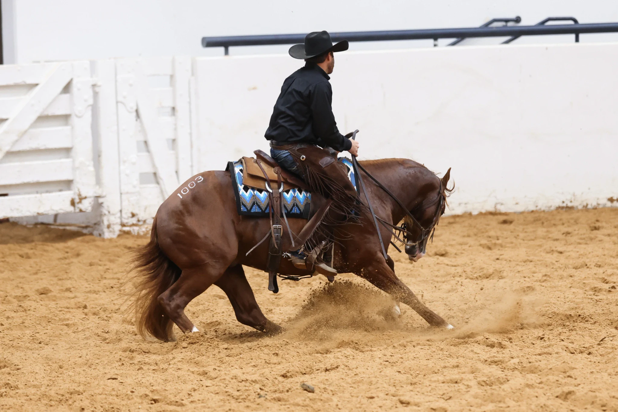 Hip No. 1003 Texxas Holdem Brings $80,000 in the Select 2-Year-Old Sale