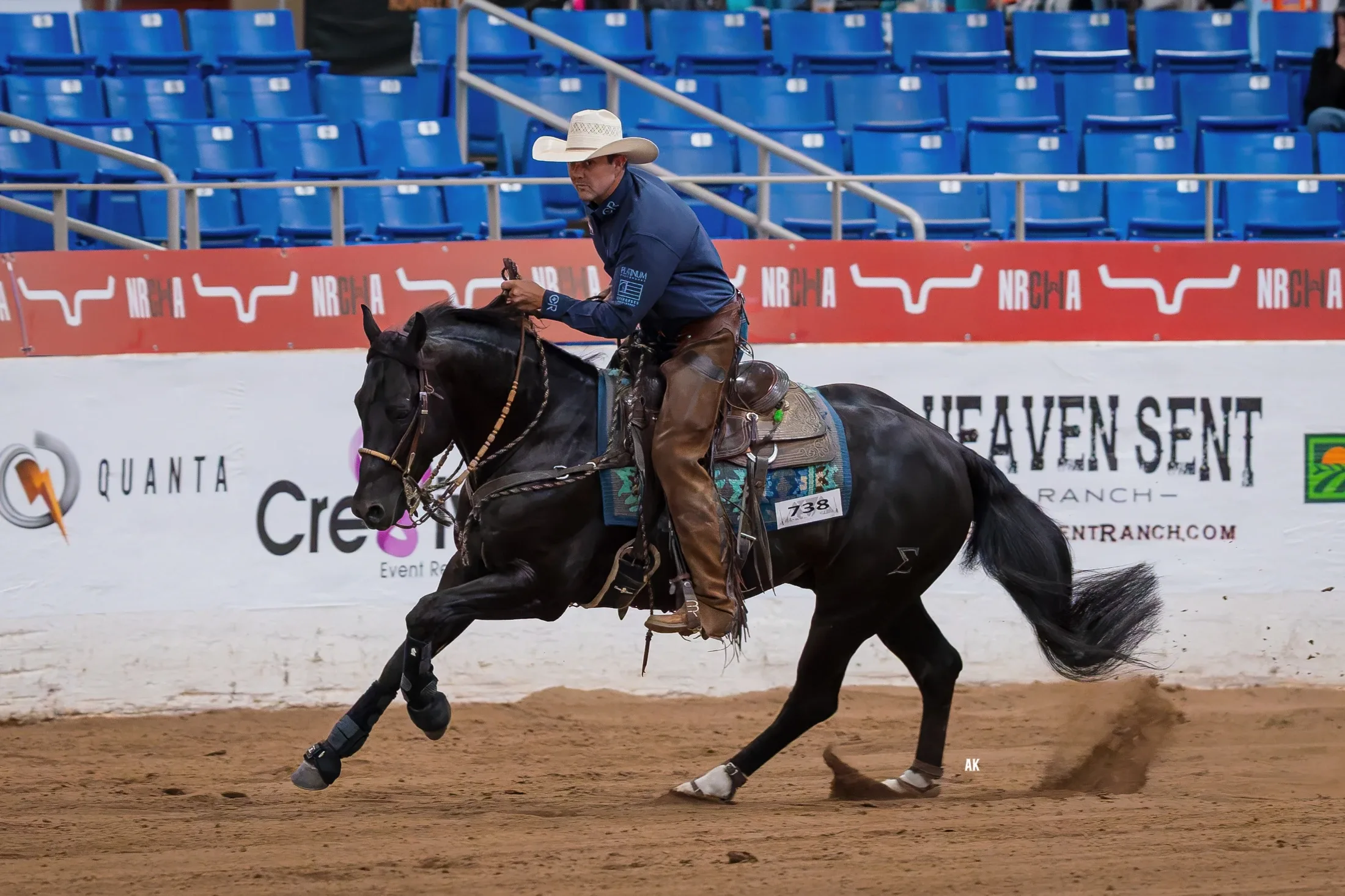 Zak 34, black reined cow horse stallion at Solo Select Horses — photo 1