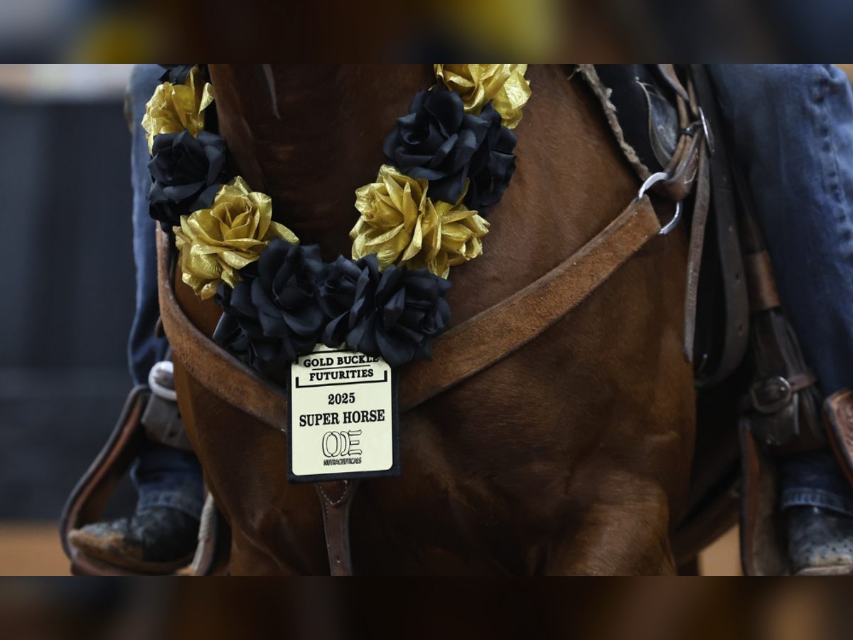 Metallic Hot Rose Wins 2025 GBF Super Horse — Solo Select Horses
